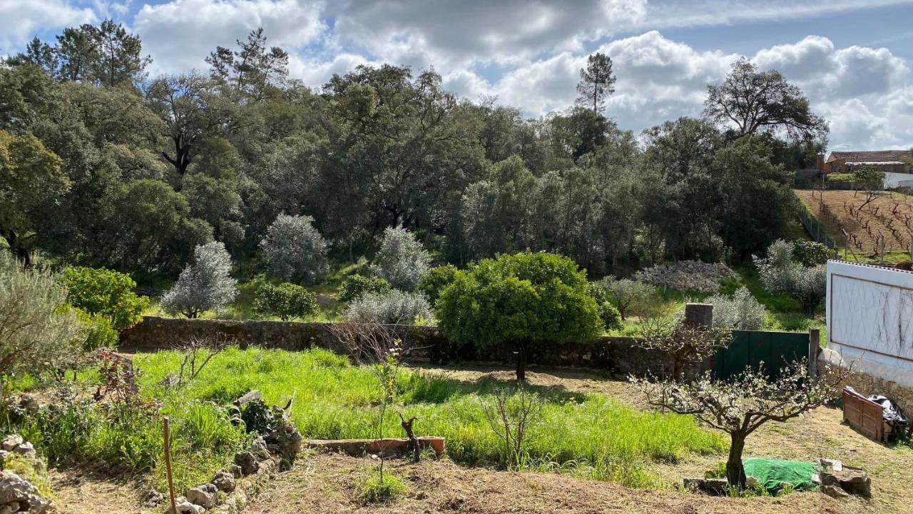 Casalinho In Portugal