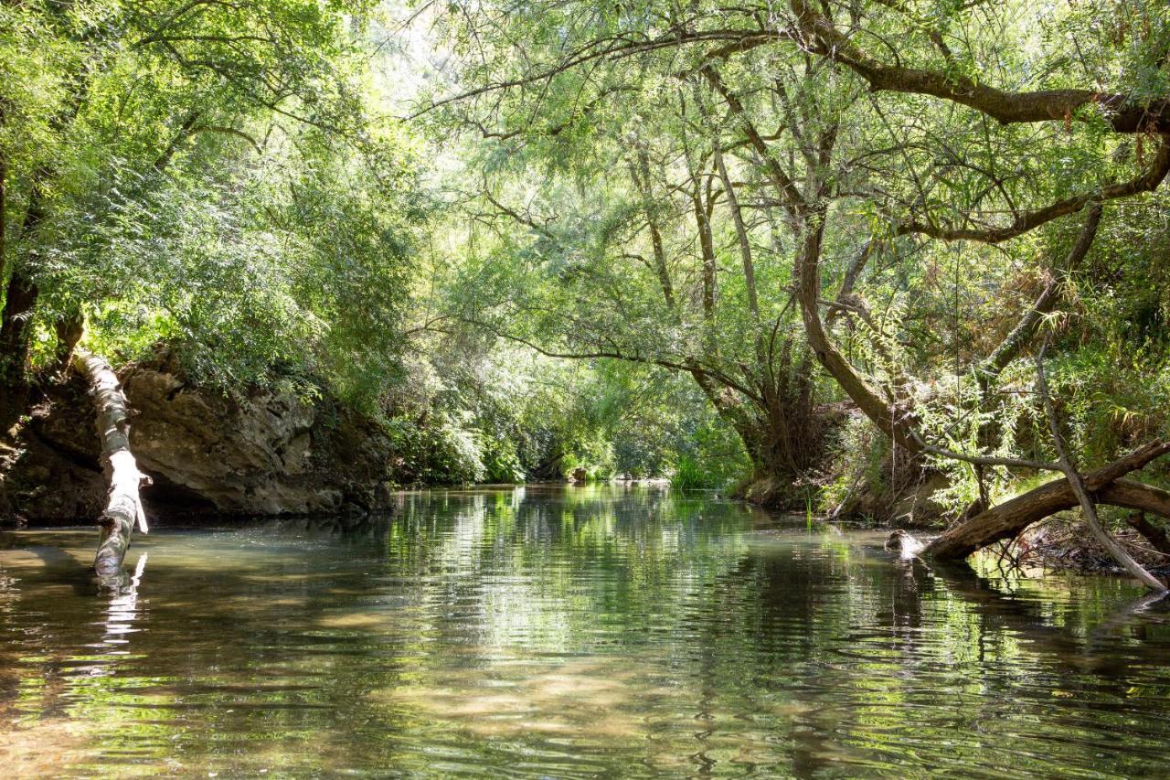Casalinho In Portugal Hébergement de vacances Tomar